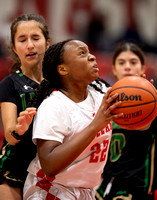 2025-01-23 McLean freshman girls basketball vs Langley
