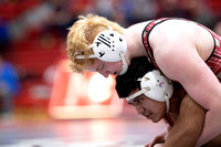 McLean varsity wrestling at Districts