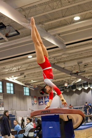2025-02-10 McLean varsity gymnastics at Regionals