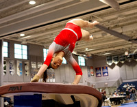 2025-02-10 McLean varsity gymnastics at Regionals