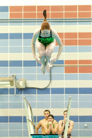 2011-12-10 Langley-McLean-South Lakes dive meet