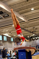 2025-02-10 McLean varsity gymnastics at Regionals