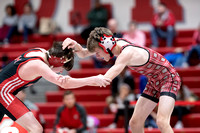 McLean varsity wrestling at Districts