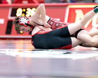 McLean varsity wrestling at Districts