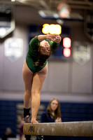 2025-02-10 Langley gymnastics at Regionals