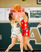 2024-01-11 McLean freshman girls basketball vs Langley