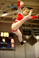 2024-02-07 McLean varsity gymnastics at Regionals