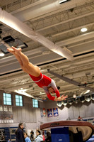2025-02-10 McLean varsity gymnastics at Regionals
