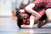 McLean varsity wrestling at Districts