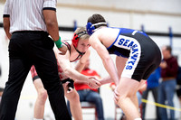 McLean varsity wrestling at Districts