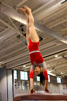 2025-02-10 McLean varsity gymnastics at Regionals