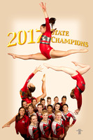 McLean HS gymnastics 2017