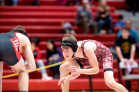 McLean varsity wrestling at Districts