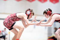 McLean varsity wrestling at Districts