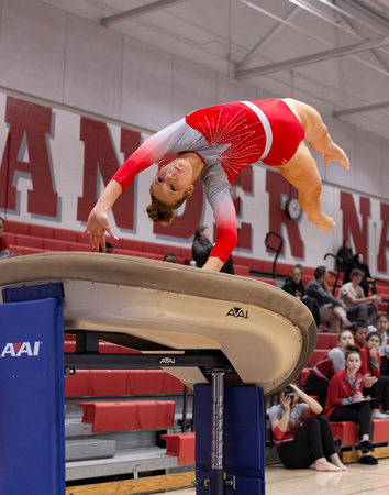 2024-12-02 McLean gymnastics vs Langley/WL/FC/Yorktown