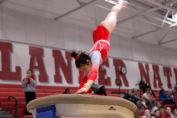 2024-12-02 McLean gymnastics vs Langley/WL/FC/Yorktown