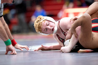 McLean varsity wrestling at Districts